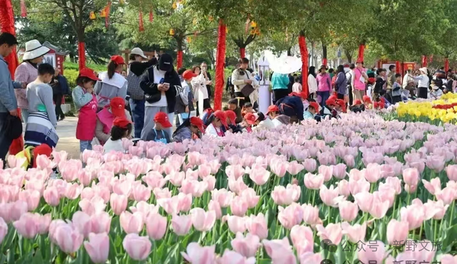 新野白河滩公园即将跻身国家4A级景区