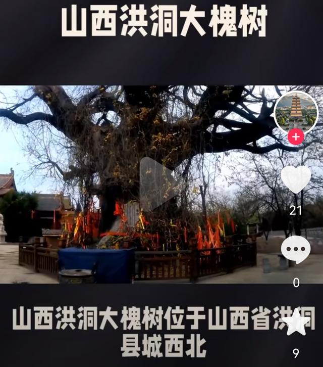 我们祖先都来自洪洞大槐树底下