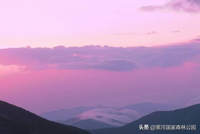 就这个周末，别等“下次”了！带上好心情，去黑河，赴一场与自然的约会