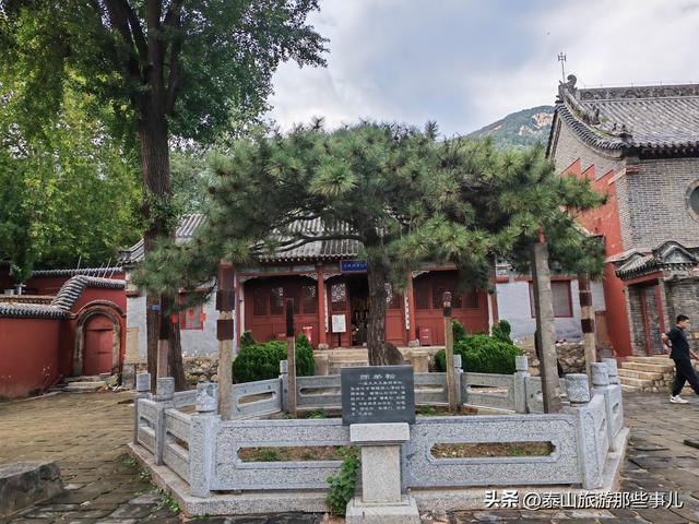泰安：泰山凌汉峰下有一景点，一井一梅一禅院，两段风云两种修行