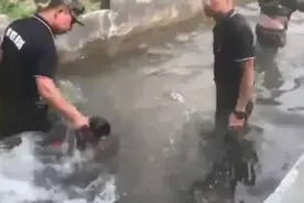 教官反复将11岁男孩脑袋按水里，父母还没发话呢，网友先干起来了图片