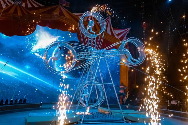 【萌狮叫醒服务】上线！快来给“最萌查房官”取个神仙名字吧！