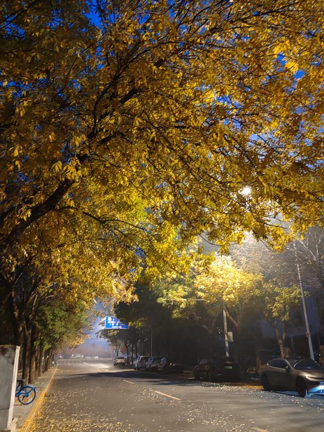 从今天开始励志三个月跑步计划，争取减轻体重