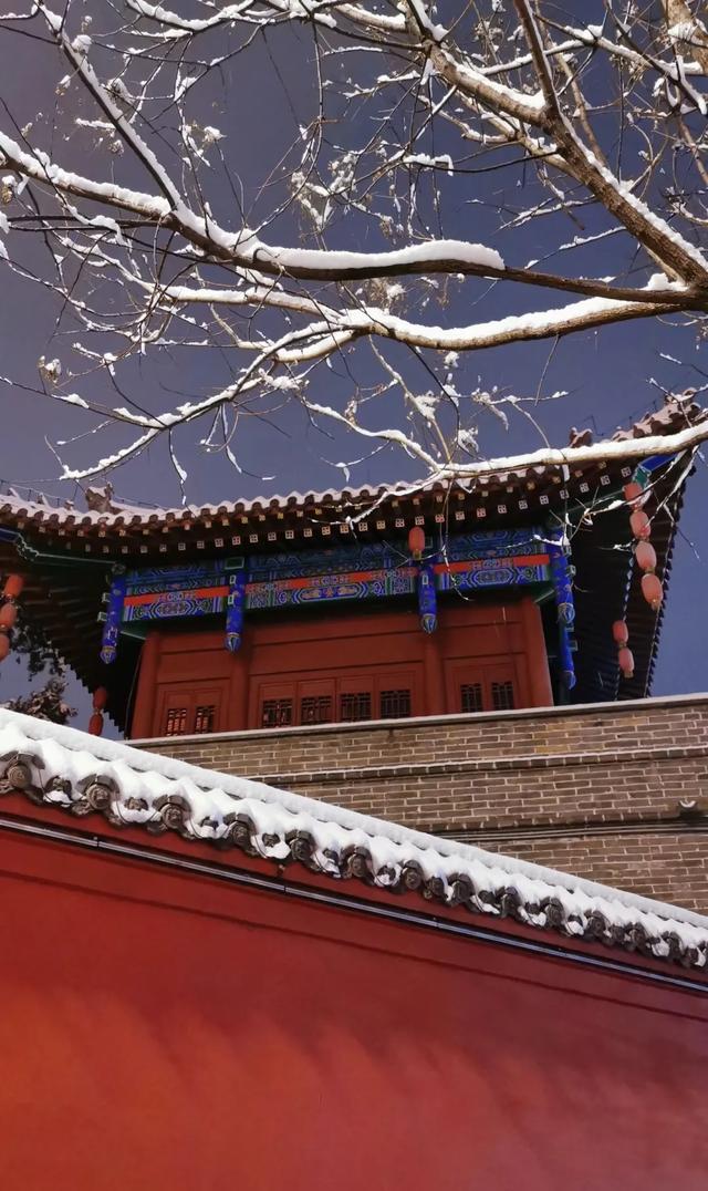即将下雪!雪后的洛阳这么拍!8个超美打卡点...