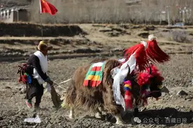 开犁了！这些独特的春耕春灌仪式你听说过吗？图片