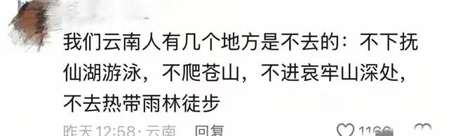 大理苍山走丢男孩夏令营机构发声，住宿的民宿发声，透露更多内幕