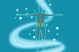 八子补肾到底是什么？为什么能延缓衰老？今天一文讲清图片