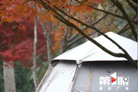 休闲娱乐好去处！重庆新增开放共享公园100个图片