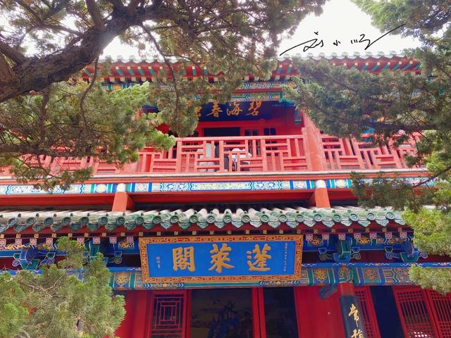 山东这个“人间仙境”举世闻名，却有很多人不知道它在哪个城市？