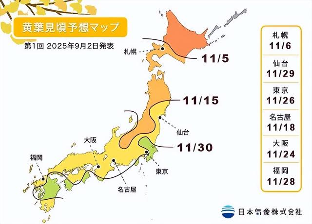 2025日本赏银杏攻略！16处绝美打卡点~