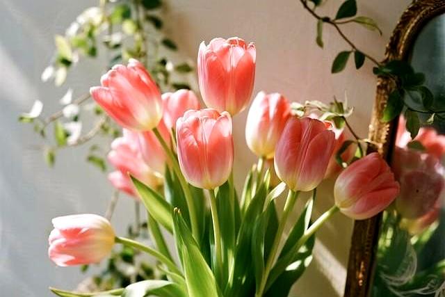 我用真心待你 但不执着于你 活在缘分中 而非关系里