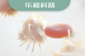 化疗、放疗后白细胞减少，如何升白？图片