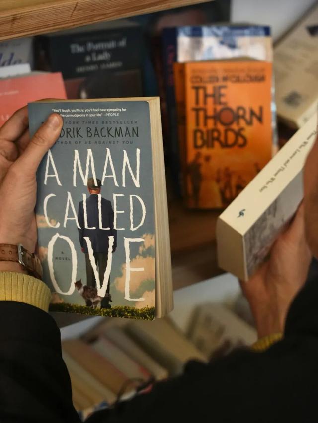 乌鲁木齐 1 月城市活动，把周末交给展览、音乐会和新去处