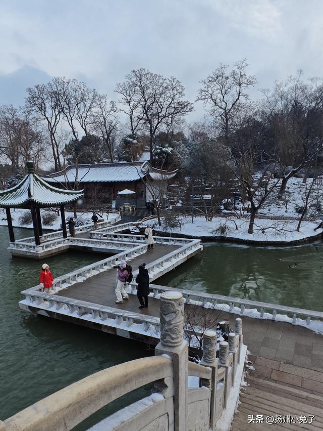 一月，我是一只吃窝边草的兔子