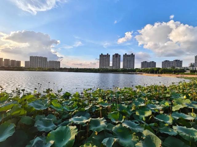 魔都私藏的15片湖泊，99%人错过的水色秘境！周末安排~