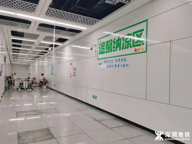 深活指南｜“我宣布，深圳的夏日就是大型养生局”