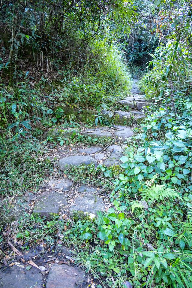 普洱游之那柯里