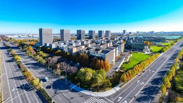 什么？！“高雅人士”来武清了？？