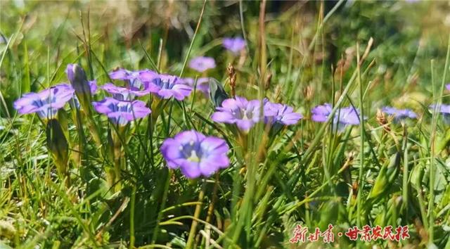 “哪儿凉快到哪儿待着去”，这句话真不是骂人
