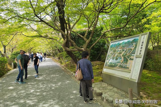 日本京都：走进龙安寺
