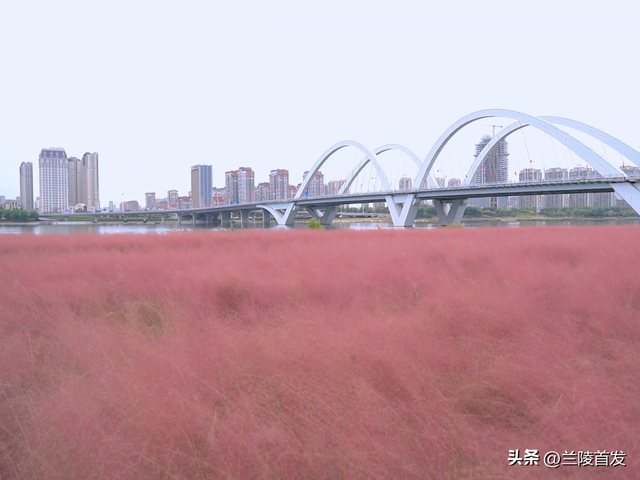 好客山东好品山东| 临沂的秋天，这10处绝美打卡地别错过！先收藏慢慢逛~