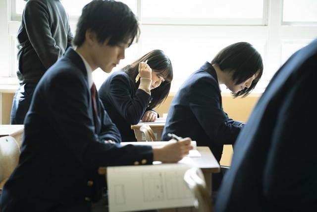 成人如何考取执业兽医资格证？一篇给你明确步骤的实战指南