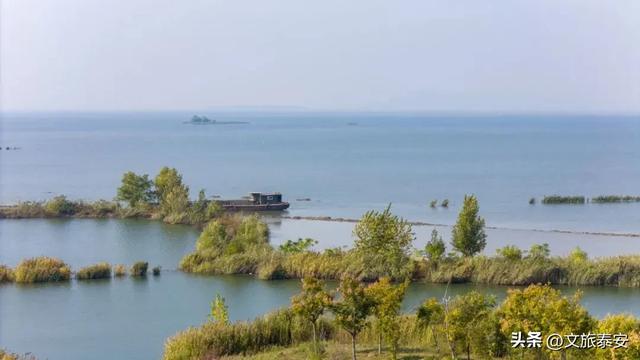 泰安“天空之镜”大火!连片芦苇+落日余晖 美到尖叫