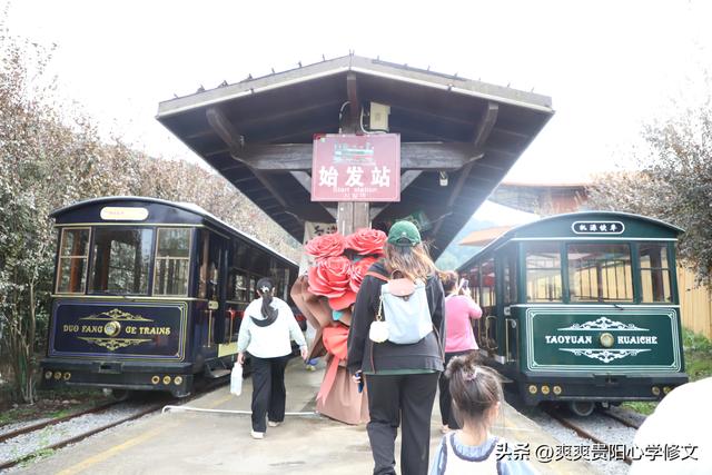 修文县桃源河景区宠游客推出赠送活动：乘坐小火车品咖啡 沿途赏美景寻宝采摘