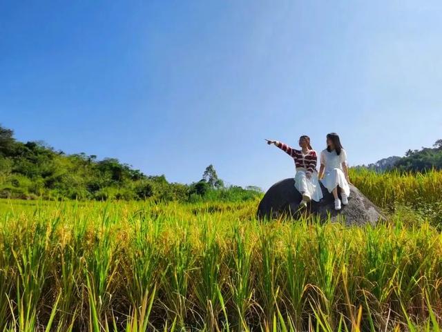 秋日限定!速来围观肇庆的绝美风光~