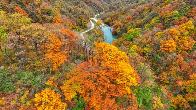 赏秋正当时!自驾来汉中,赴一场秋日视觉盛宴~