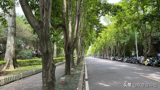 探秘福建农林大学苍山校区：不只是颜值爆表！