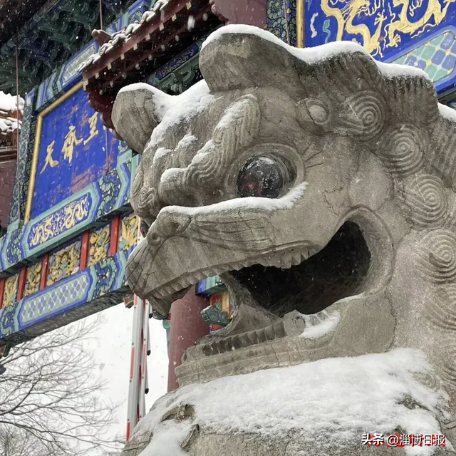 全国大学生看过来！临淄文旅免门票还送年卡，新春文化盛宴等你赴约！