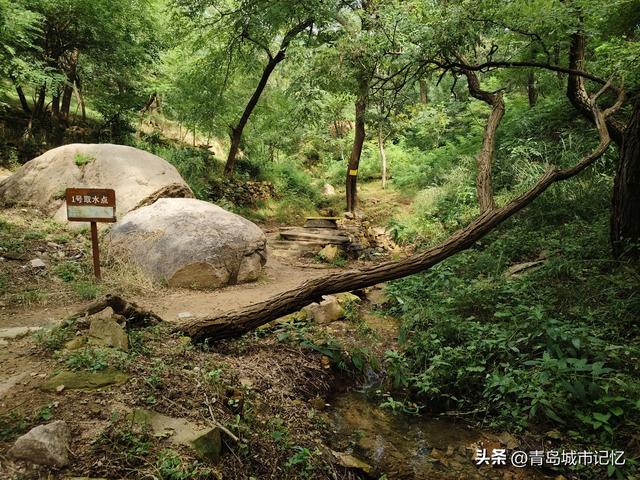 六百年浮山荒草庵，荒废六十年，即将重新开放