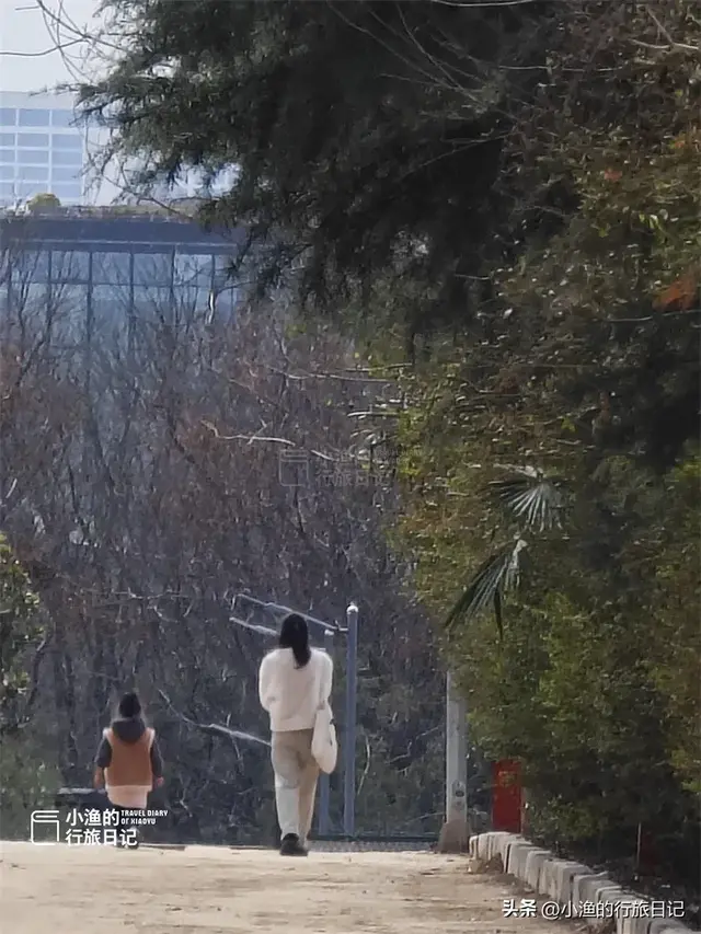 西安“天下第一宫”，是世界最大宫殿基址，面积相当2/3个故宫