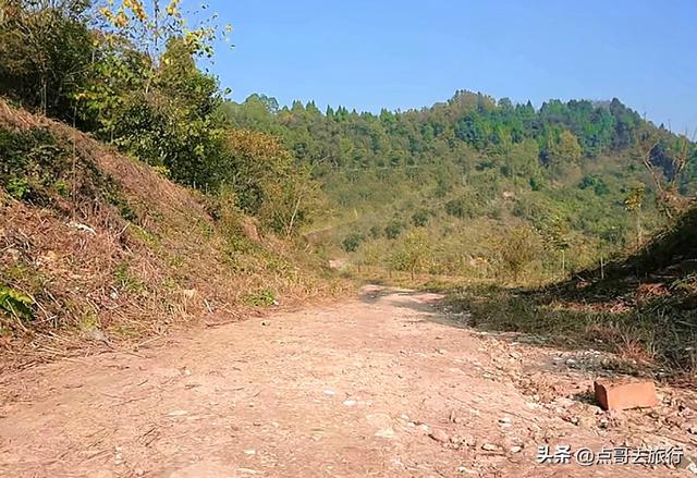 成都龙泉山爆红徒步路线，享受超级梭梭板，大人小孩都喜欢！