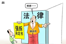 胡县长说：梨树不是经济林 是地面附着物图片