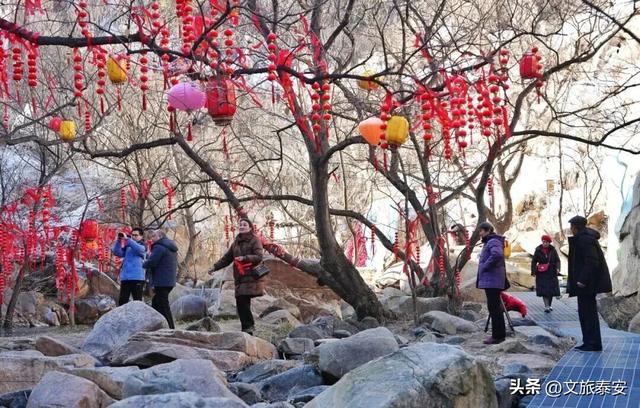 这些人，长期免票！神龙大峡谷、冰瀑奇观、“拍马屁”互动点……超多精彩等你来