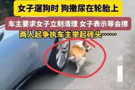 上海街头“狗尿”风波：女子不擦 车主砸狗 网友热议谁更理直气壮？图片