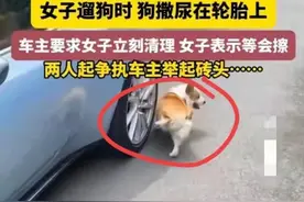 上海街头“狗尿”风波：女子不擦 车主砸狗 网友热议谁更理直气壮？图片
