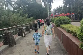 在海南待了半年，我感觉在这里养老就是一个神话。图片