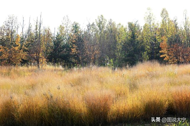 深秋时节，临汾有个富有诗意的好地方！