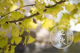 28首立秋诗词，秋风起，凉意生，迎接诗意的秋天图片