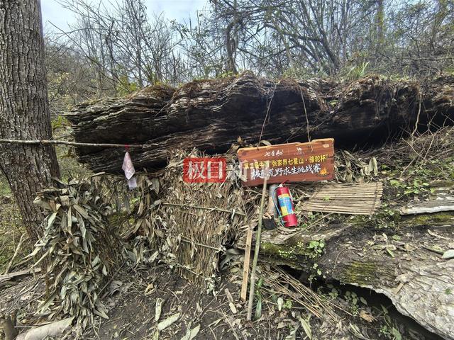 张家界荒野求生体检结果出炉：血钾超标选手复检正常，除“冷美人	”外的14人均将继续比赛
