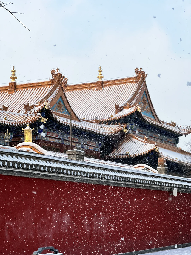 入冬啦！呼和浩特的这几处顶流打卡地必须去眊一眊！