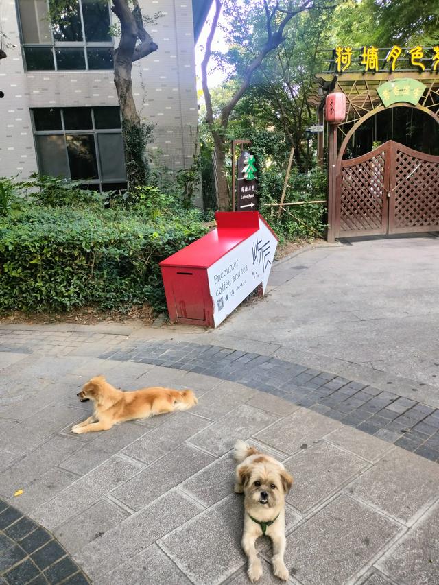 引潮河藏着诗意和美好