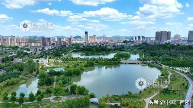 分宜：湿地公园生态美