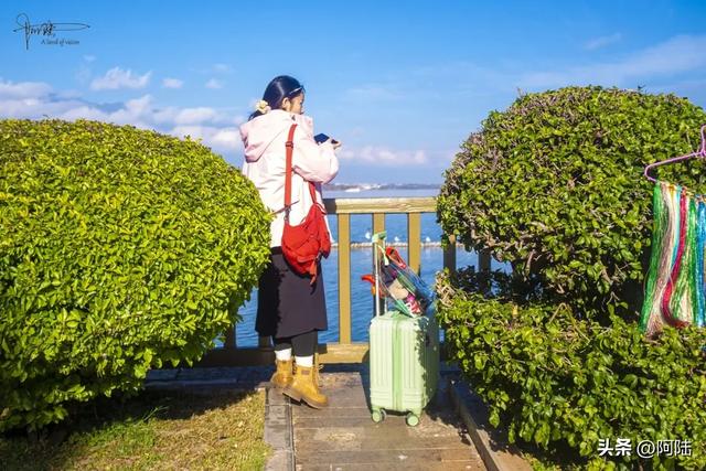 在洱海边偶遇最“潮”老头,粉色坐驾堪称是大理最靓丽的风景线