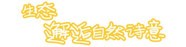 秋深景更美！运城最绚烂时刻到了！