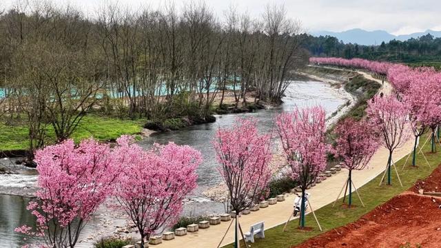 赏樱花除了去南溪山公园，桂林这个新晋网红地也超级好看！