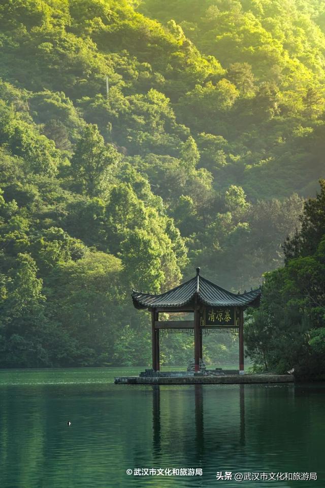明天过节！武汉19家景区宣布：免门票